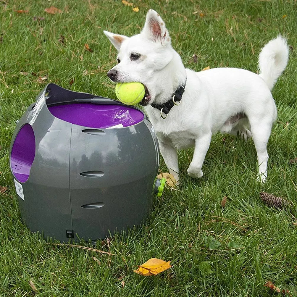PetSafe Automatic Dog Ball Launcher – Outdoor Interactive Tennis Ball Thrower (PTY19-15850)