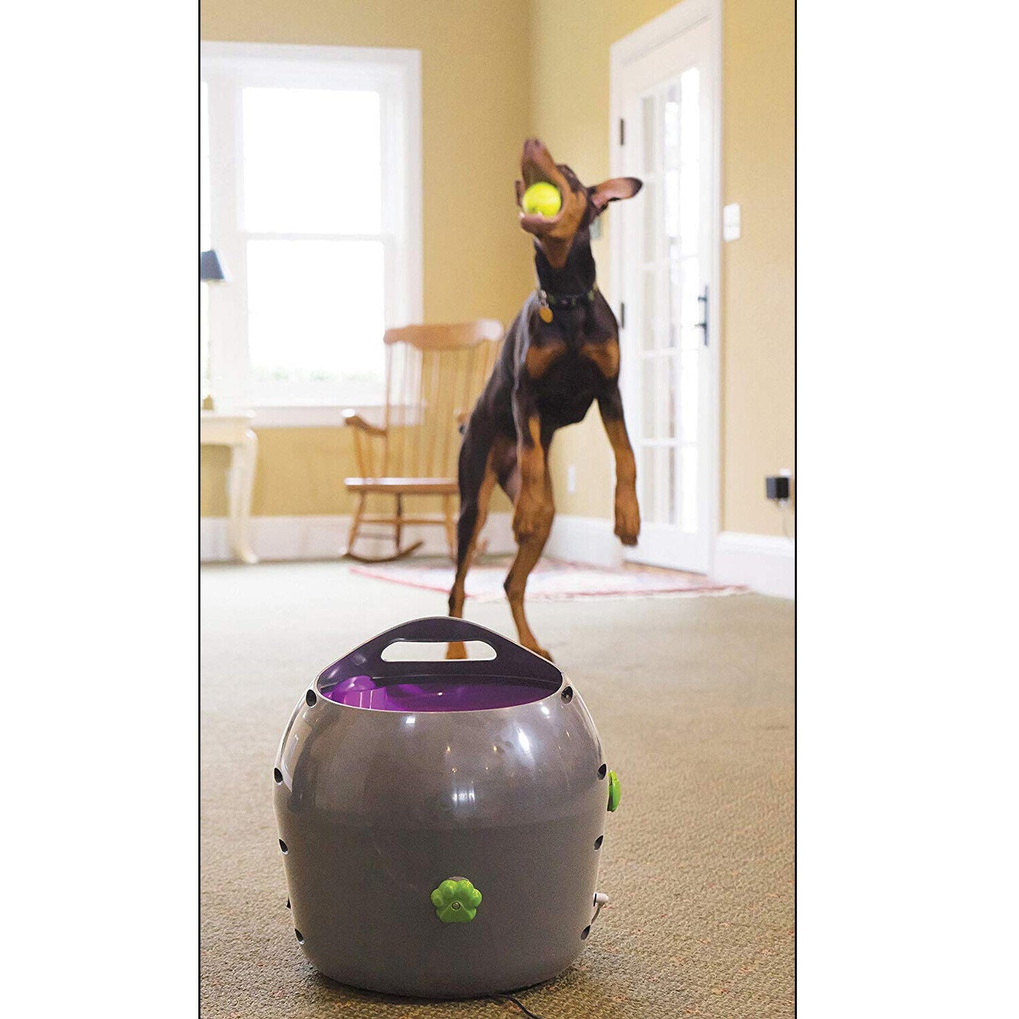 PetSafe Automatic Dog Ball Launcher – Outdoor Interactive Tennis Ball Thrower (PTY19-15850)